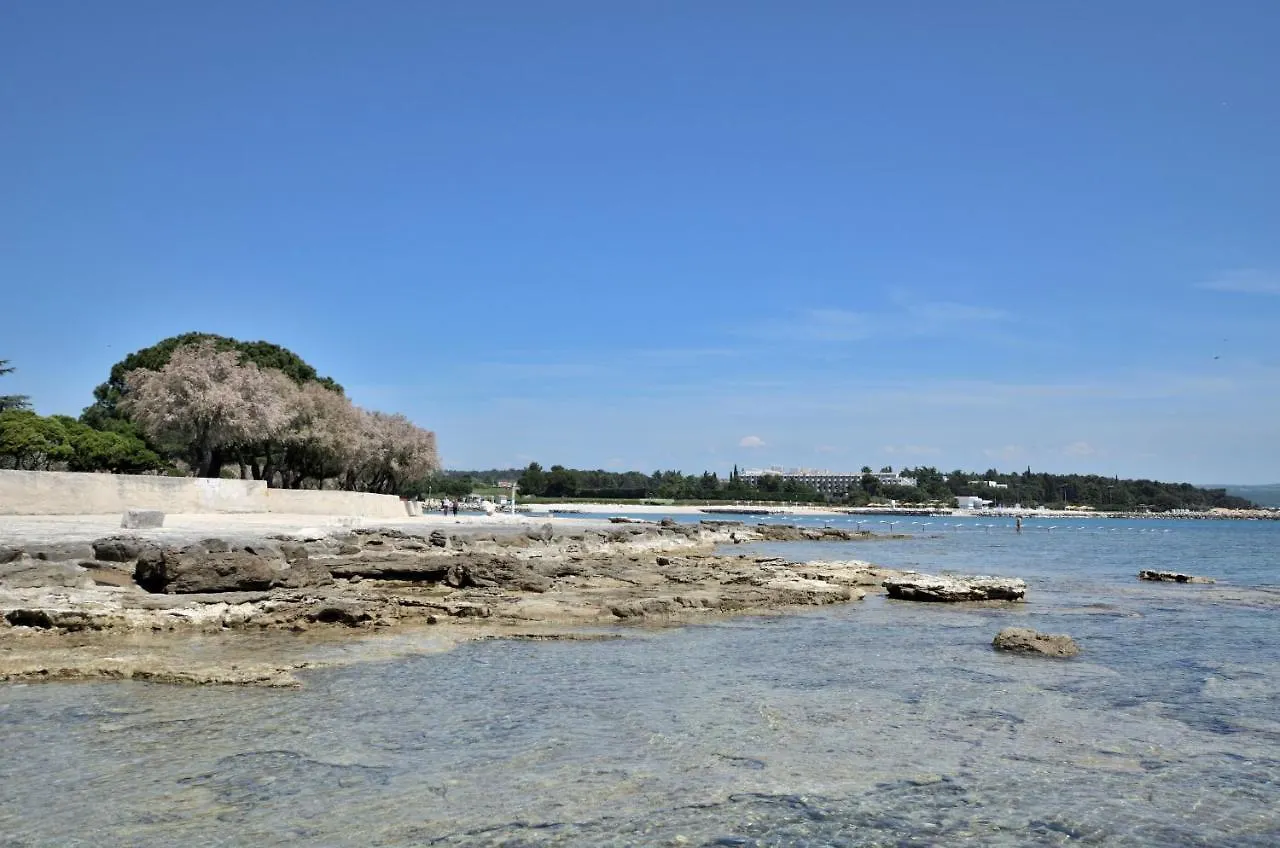 Apartments Pintar Novigrad